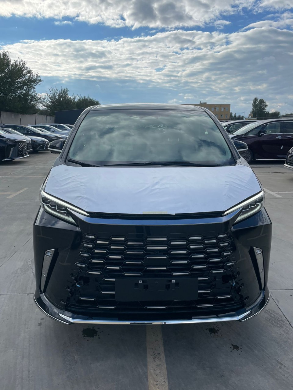 Lexus LM350h 2,5l Hybrid 4 seats 2025 (10)
