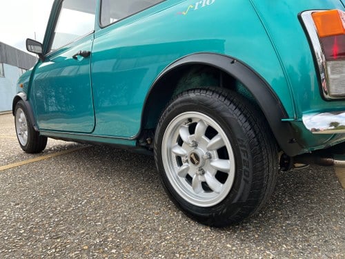 Rover Mini Rio 1275cc (7)