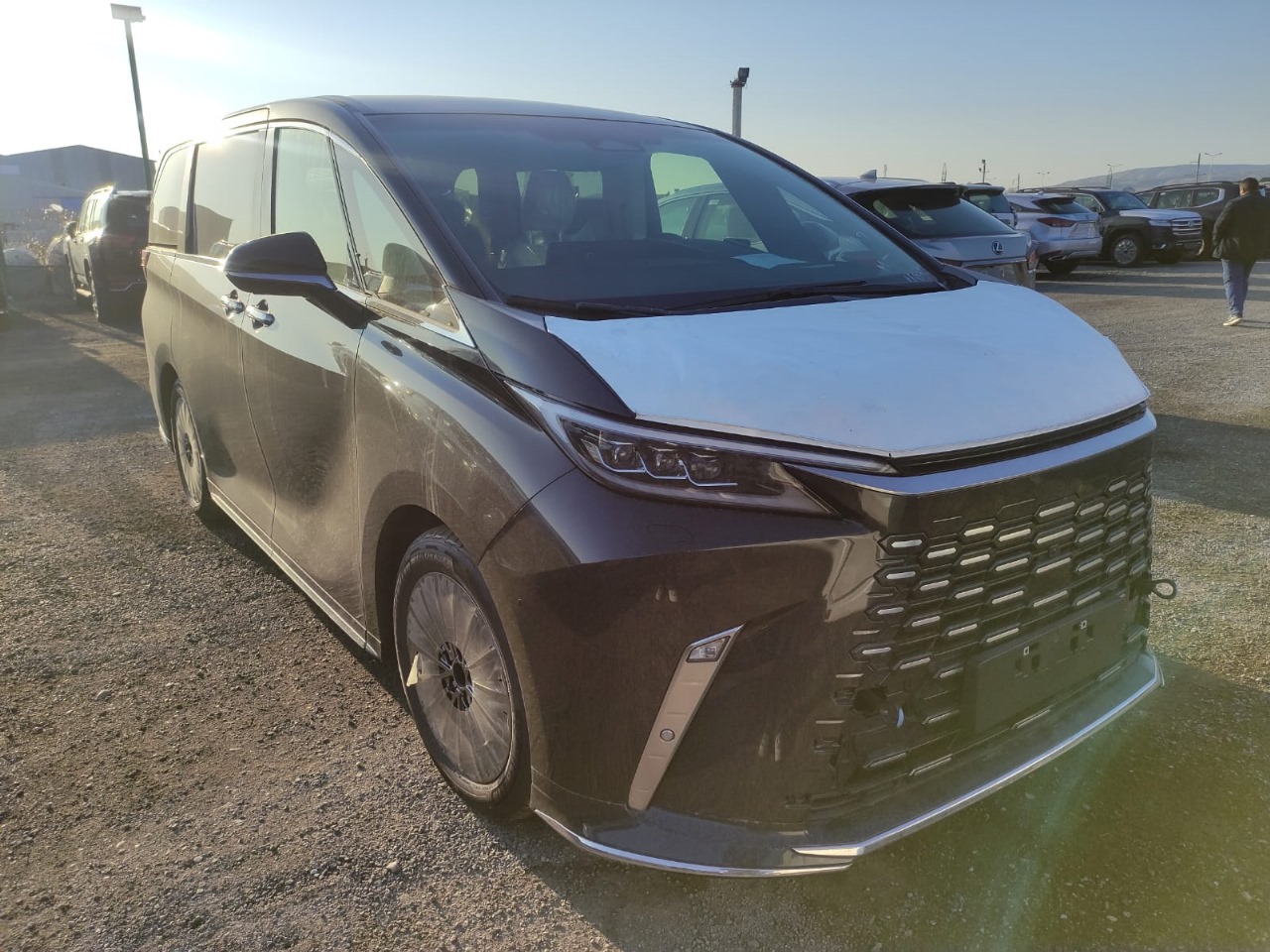 Lexus LM350h 2,5l Hybrid 7 seats 2025 (7)