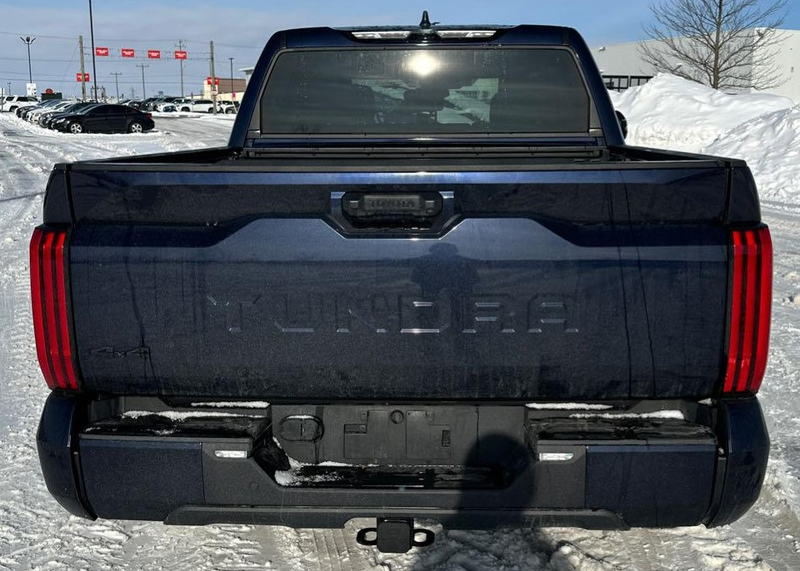 Toyota Tundra CrewMax SR 2024 (10)