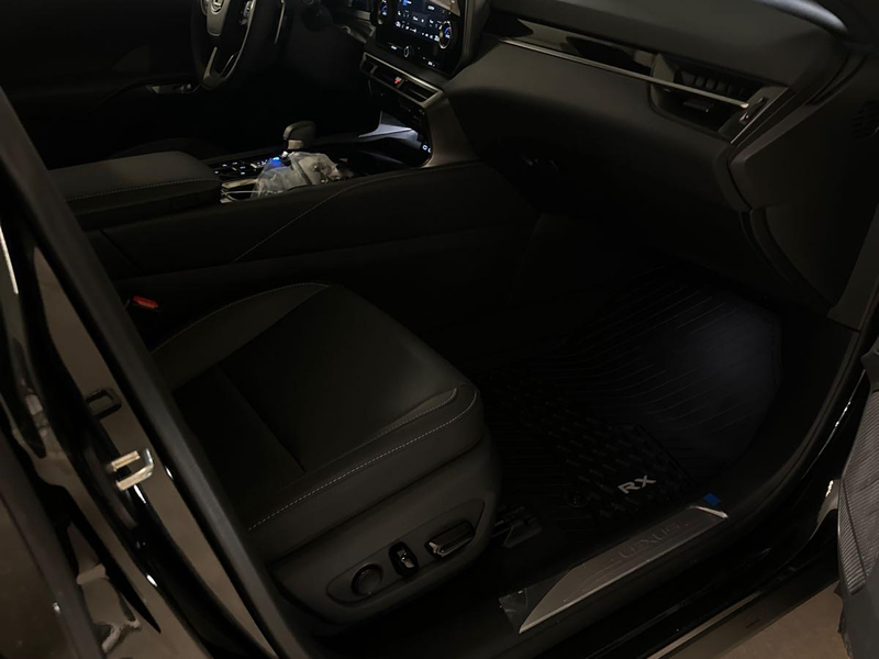 Lexus RX 350h 2025 (7)