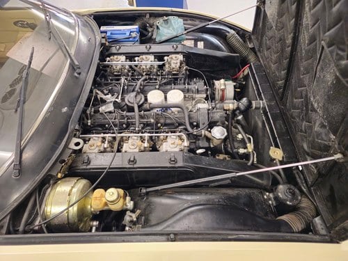 Ferrari 365 GTC 4 (7)