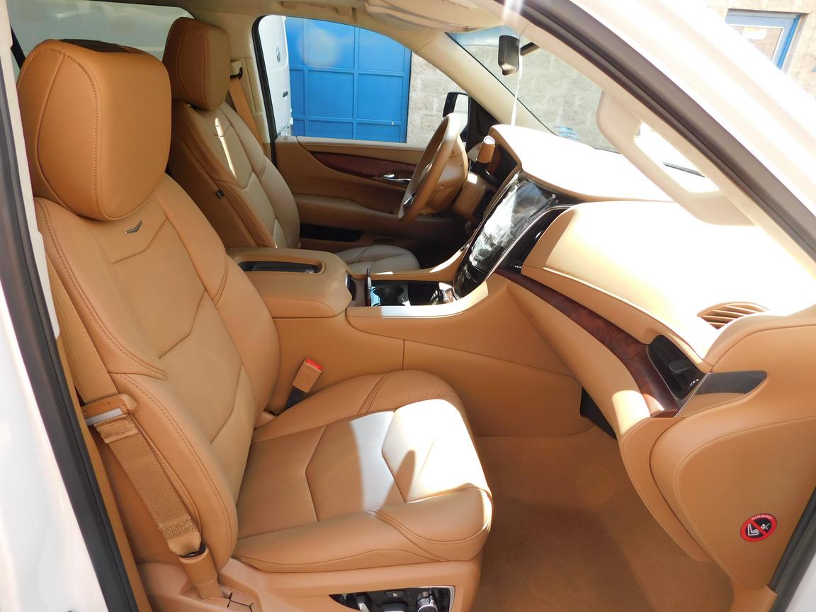 Cadillac Escalade ESV Platinum 2016 (15)