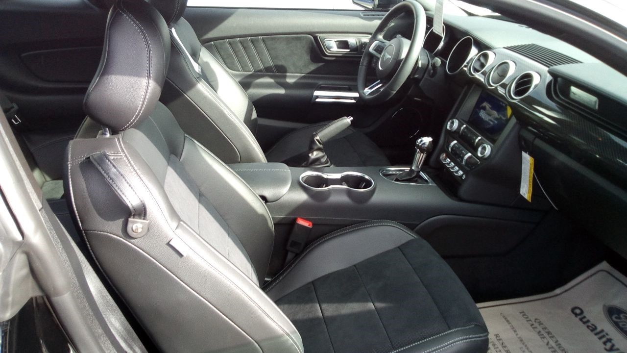 Ford Mustang 2,3l EcoBoost 2019 (8)