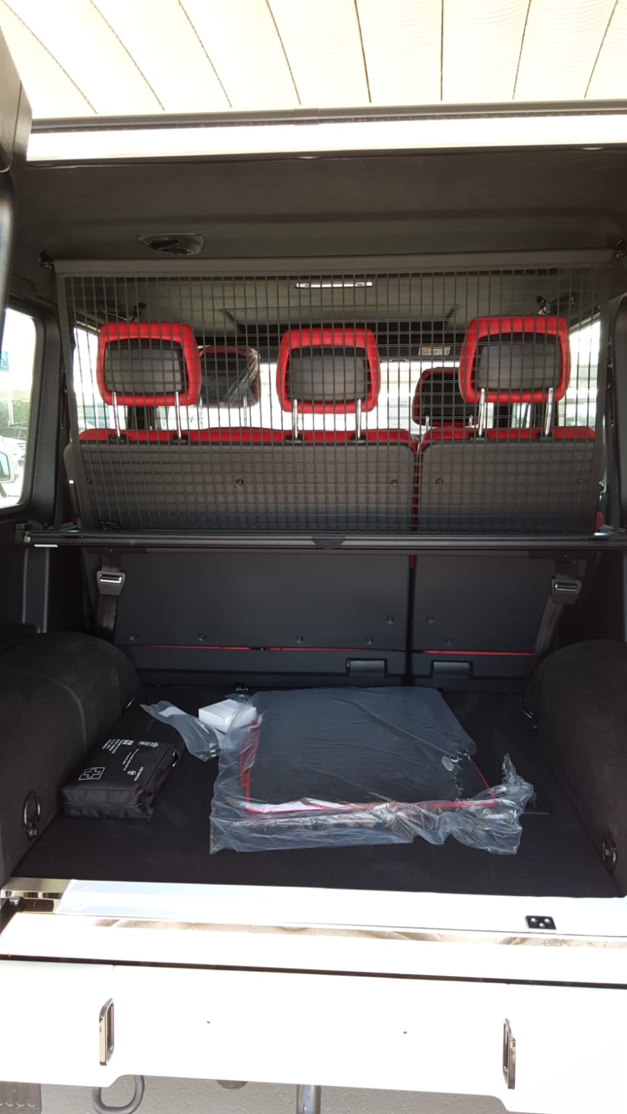 Mercedes Benz G500 2018 (9)