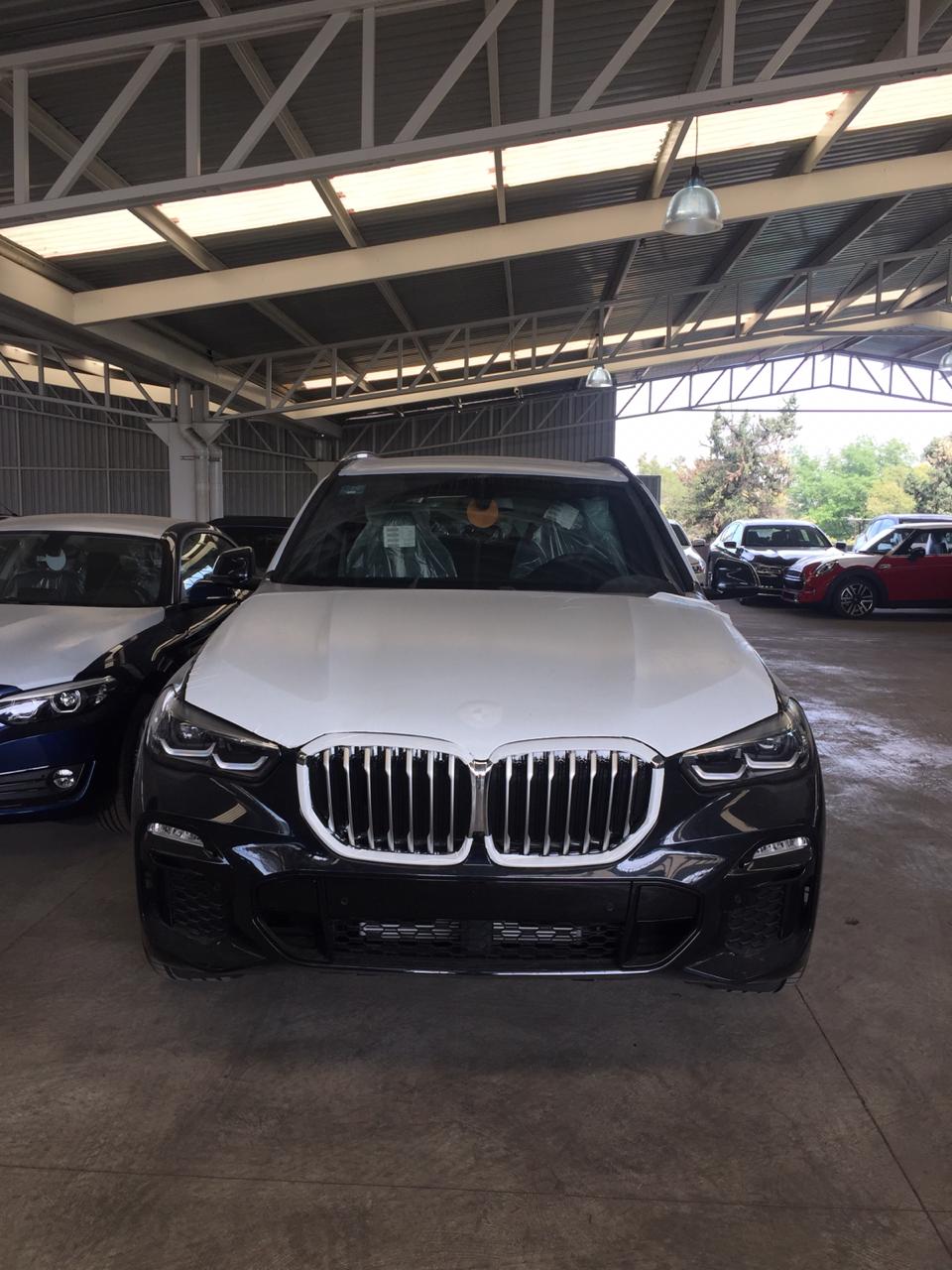 BMW X5 40i 3,0l Executive 2019 (9)