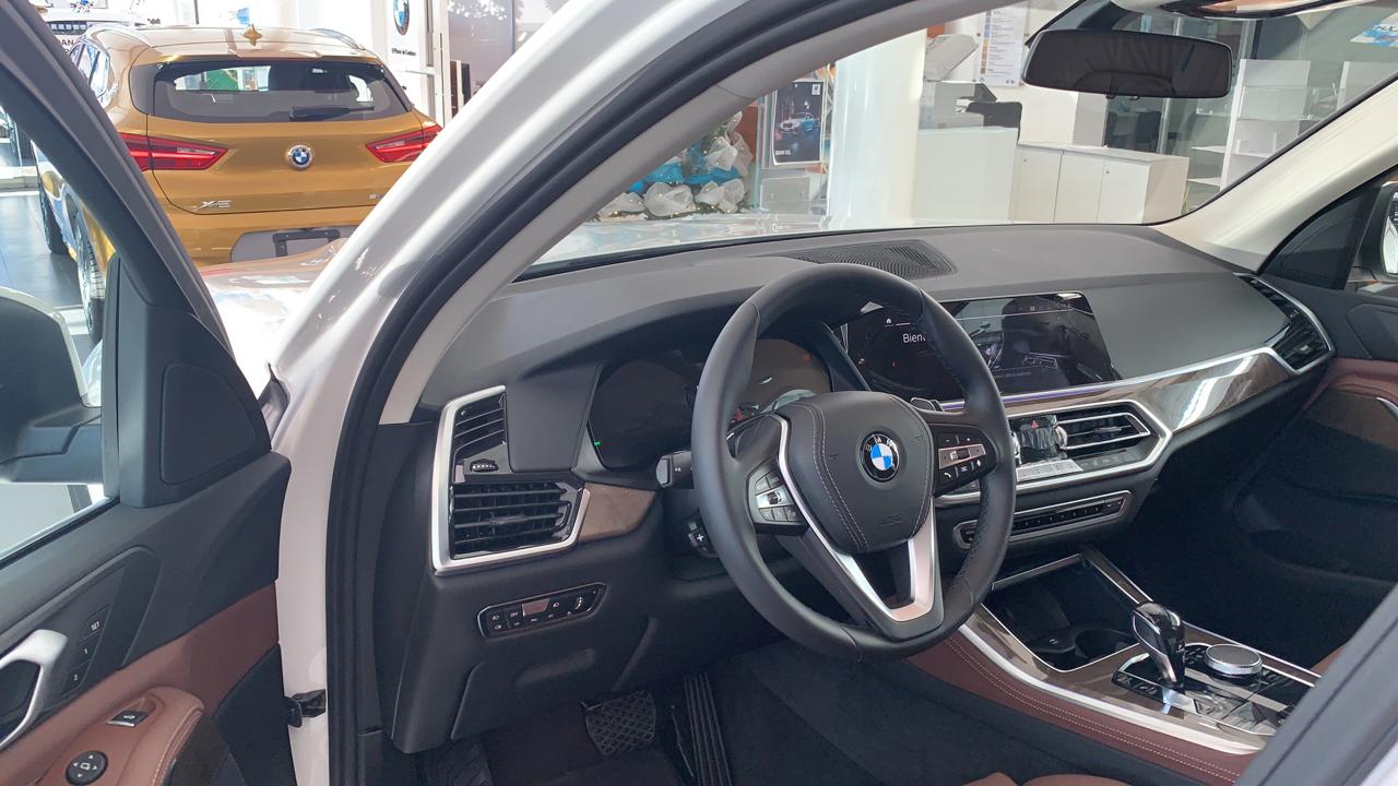 BMW X5 40i 3,0l/6Zyl., Executive 2019 (8)