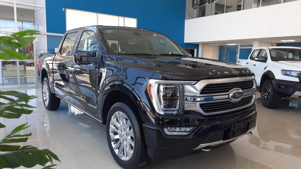 Ford F150 Lobo Crew Cab Limited, 3,5l EcoBoost 2021 (9)