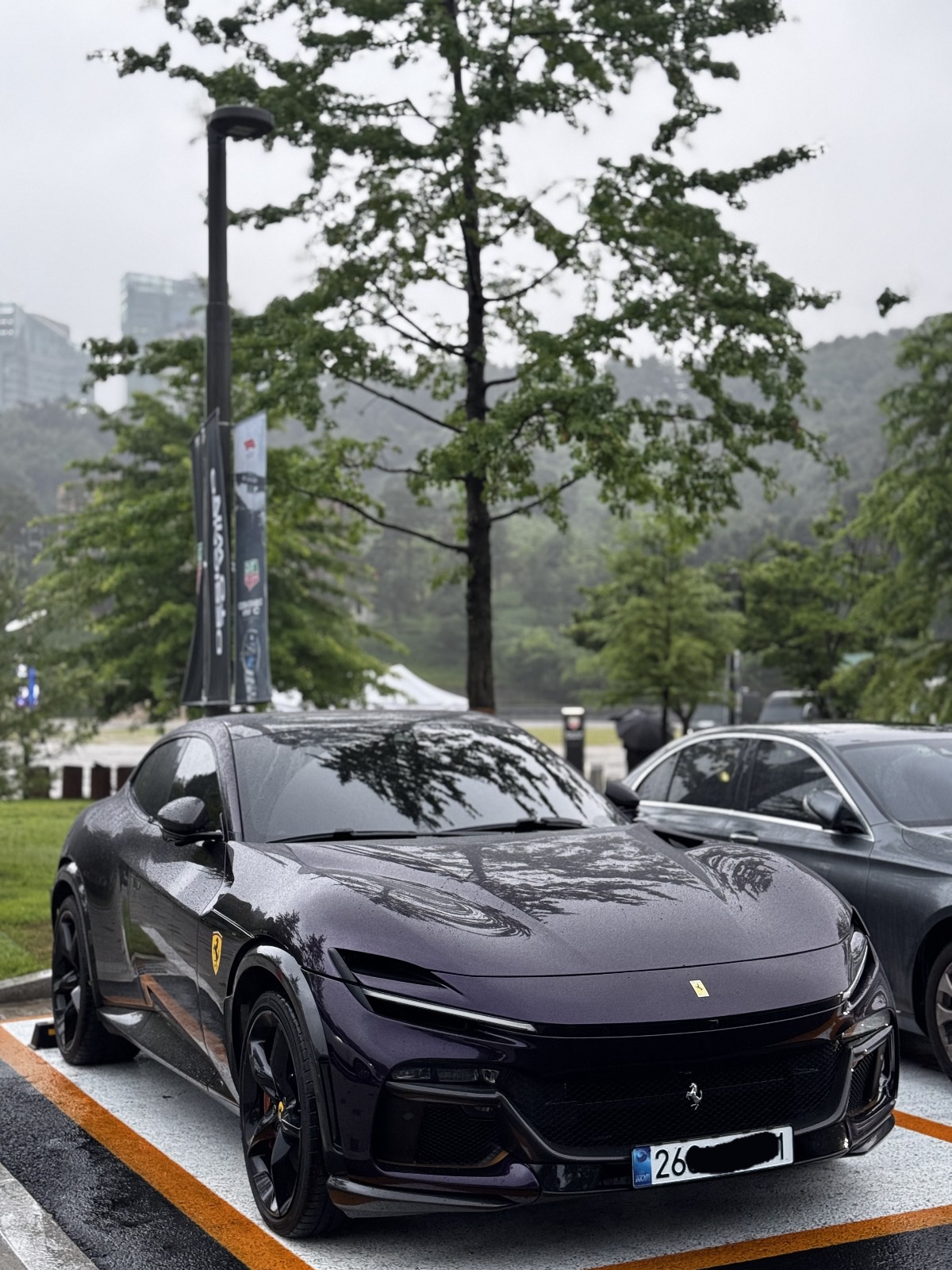Ferrari Purosangue 2025 (8)