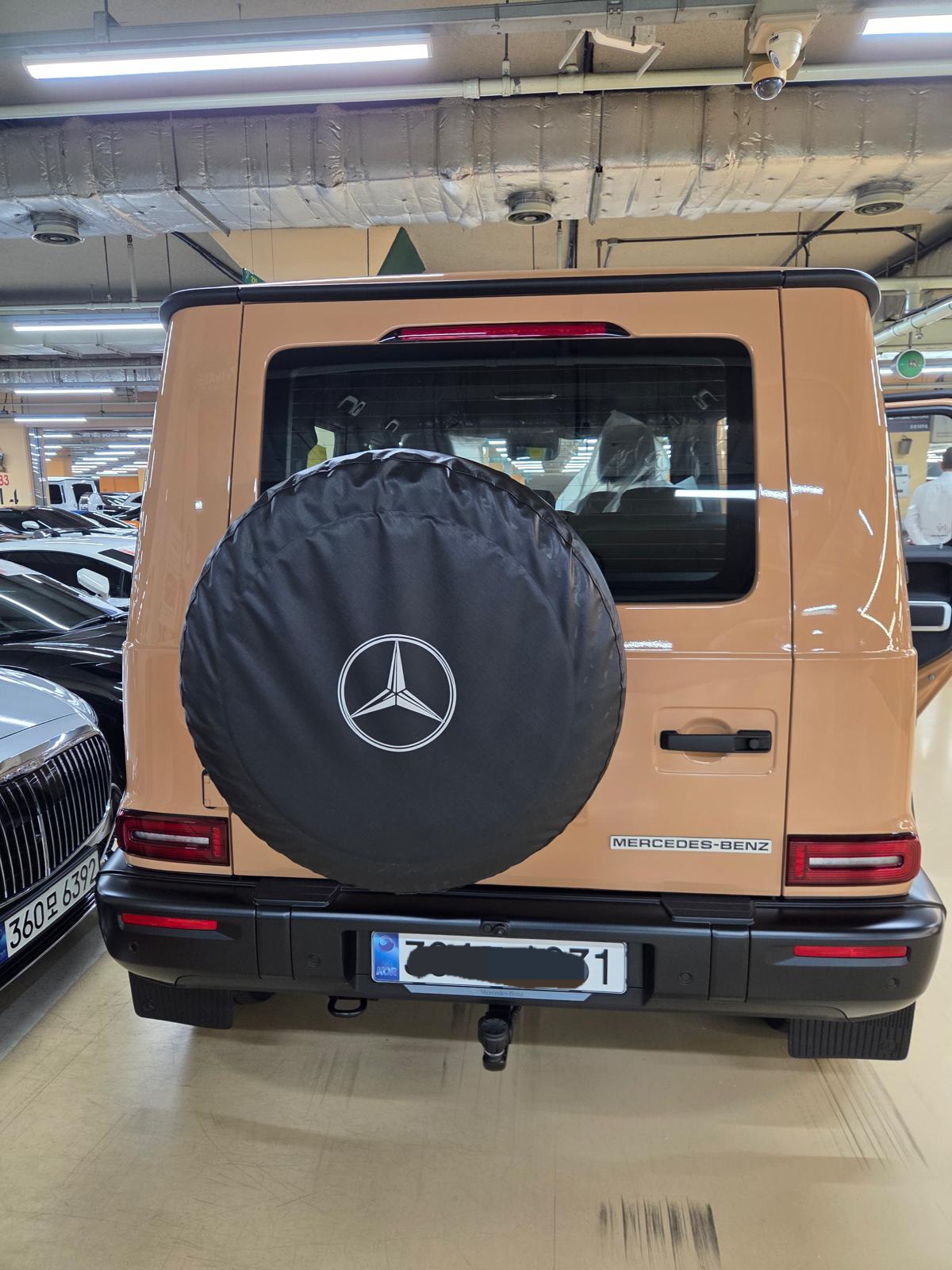 Mercedes Benz  G450d 2025 (11)