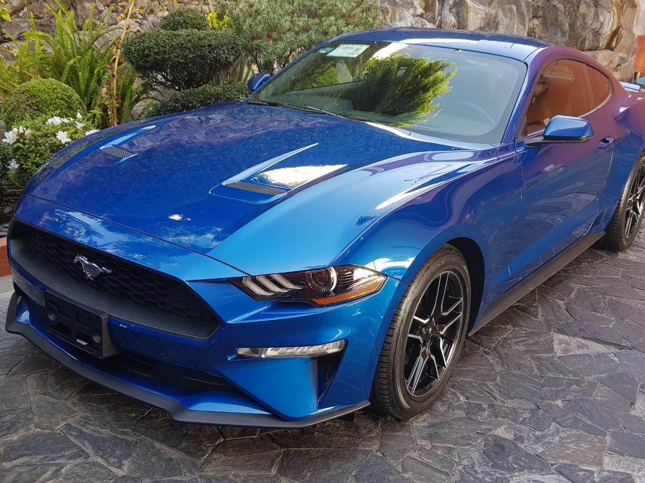 Ford Mustang  2,3l EcoBoost