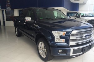 F150 Lobo Crew Cab Platinum | Fugo Cars