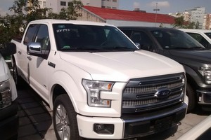 Lobo 4X4 PLATINUM | Fugo Cars