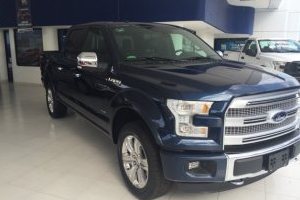 Lobo Crew Cab Platinum | Fugo Cars